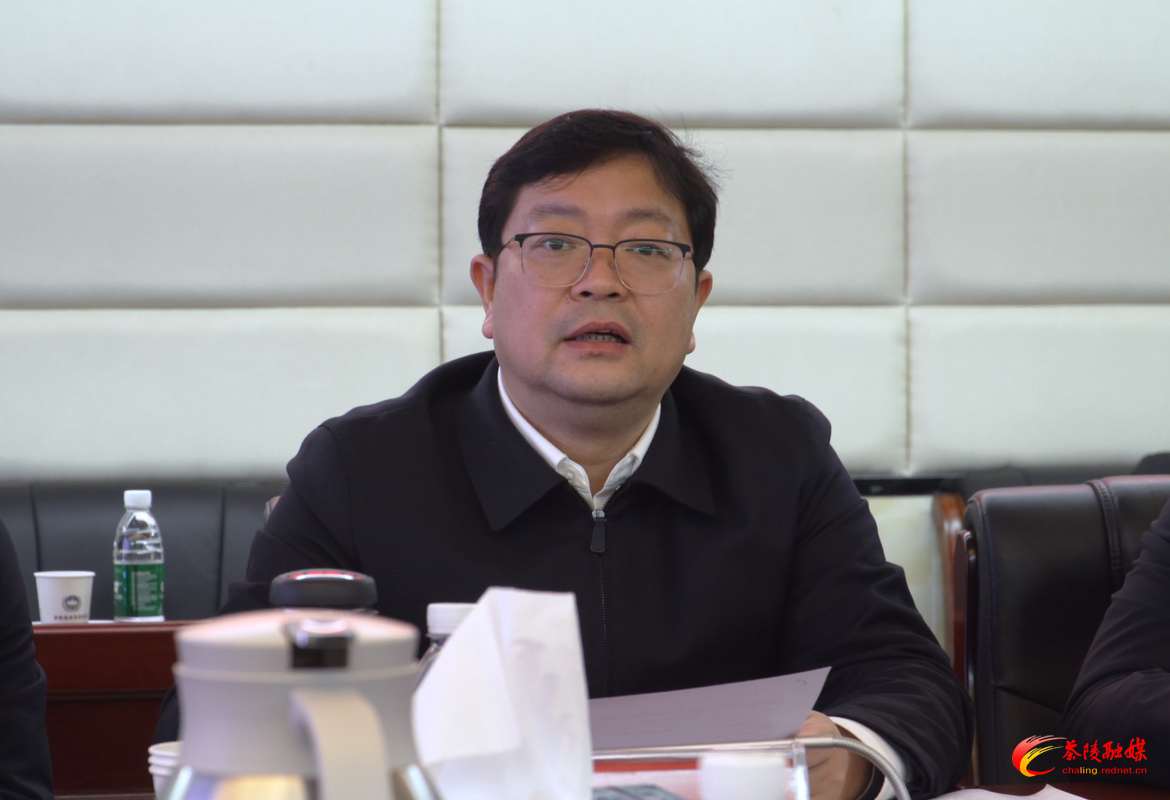 2024年茶陵县空间规划委员会第二次专题会议召开