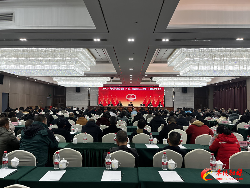 下东街道:奋力构建“魅力下东、活力新城”新格局