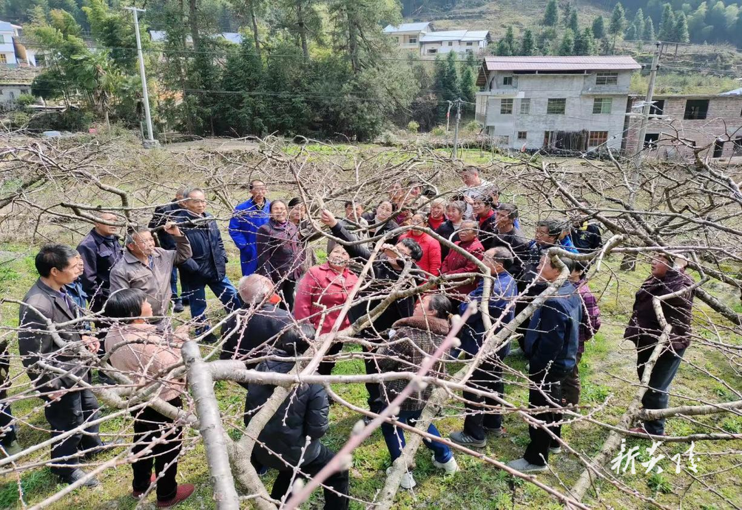 下村乡：把握“三要领”助推农村党员冬春训提质增效