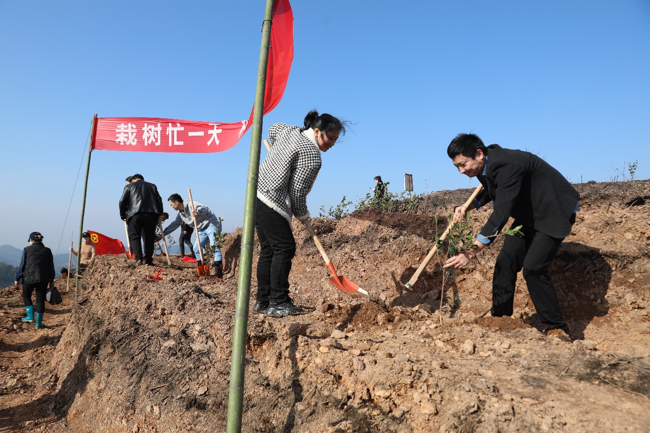 种下绿色希望 共建美丽株洲—市自然资源和规划局开展义务植树活动