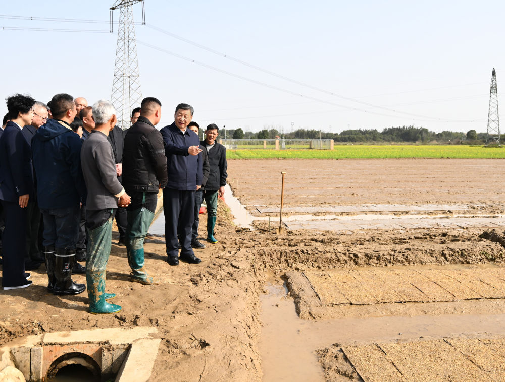 习近平在湖南考察时强调 坚持改革创新求真务实 奋力谱写中国式现代化湖南篇章