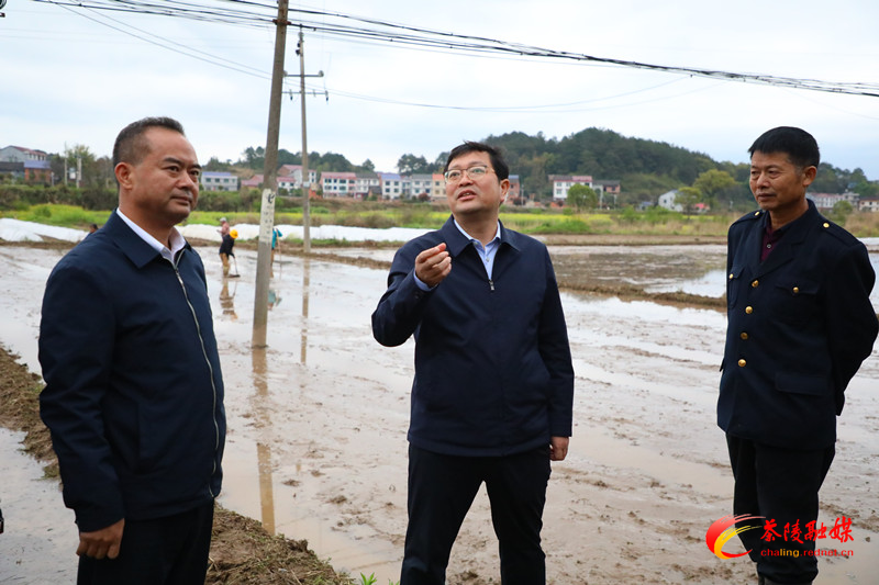 杨红兵督导调研项目建设、生态环保、春耕备耕并开展巡河工作