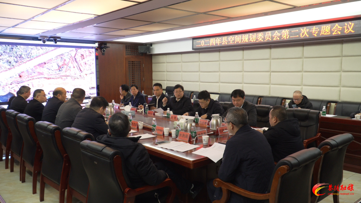 2024年茶陵县空间规划委员会第二次专题会议召开