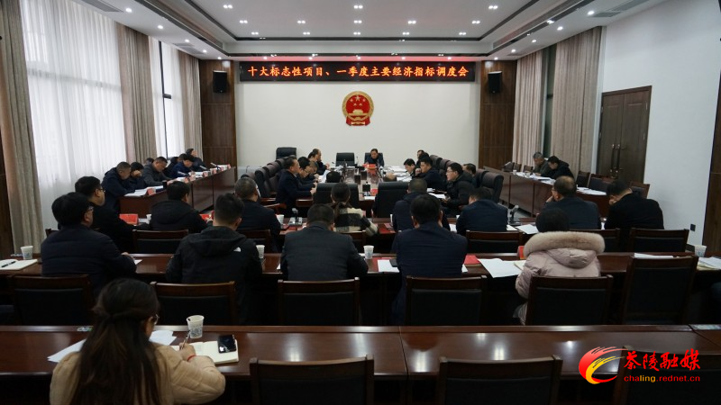 杨红兵调度县十大标志性项目、一季度主要经济指标