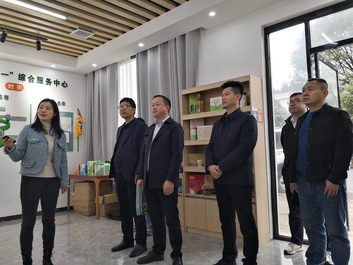 省社合作指导处来株调研