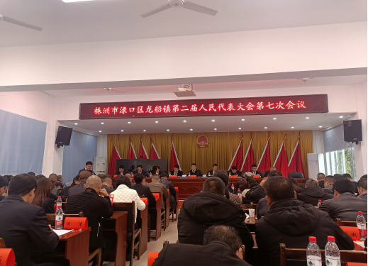 龙船镇胜利召开第二届人民代表大会第七次会议