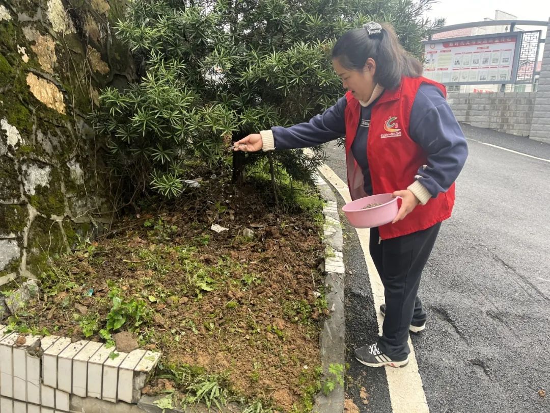 一“渌”添彩 绿满朱亭