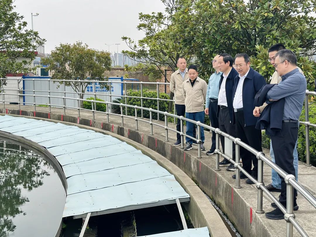 聂方红率三级政协委员联动开展改善生态环境专项民主监督