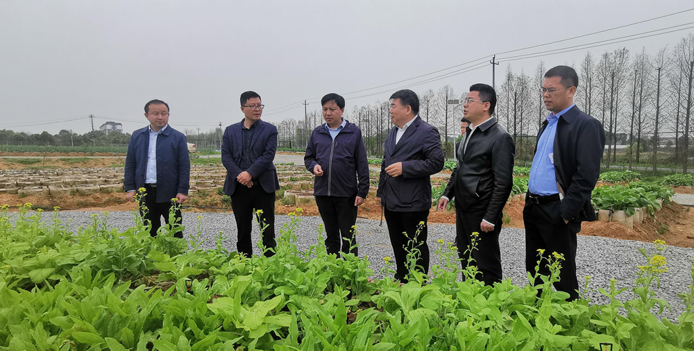 邓文军带队调研株洲市基层供销社建设工作