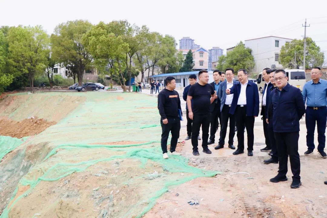 聂方红率三级政协委员联动开展改善生态环境专项民主监督