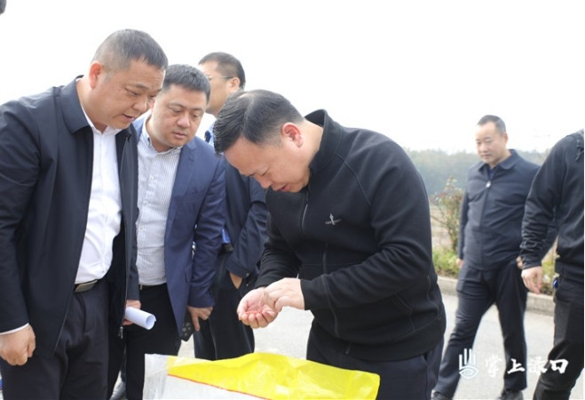 李晓彤：推动“四良“融合 助力粮食稳产增收