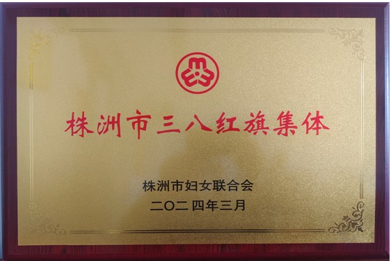柔肩担重任 簿列绽芳华——她们是最美“三八红旗集体”
