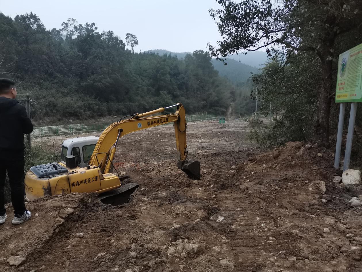 茶陵持续推进督察交办问题整改 林地快速补植实现复绿