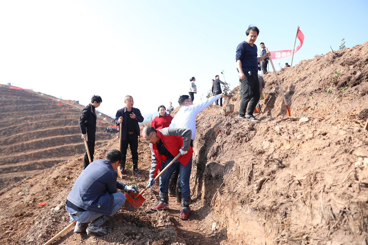 种下绿色希望 共建美丽株洲—市自然资源和规划局开展义务植树活动