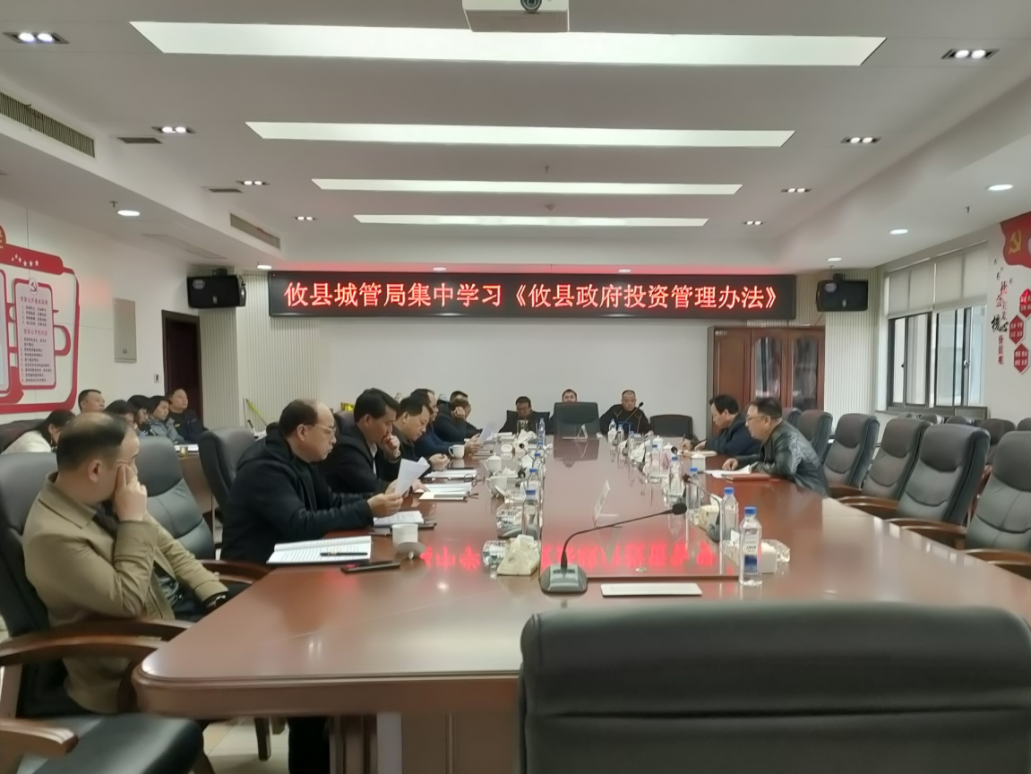 ​攸县城管局：开展《攸县政府投资管理办法》学习