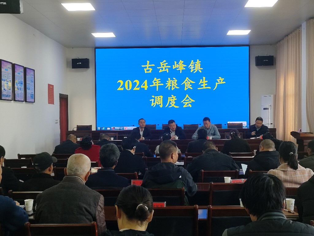 古岳峰镇召开粮食生产调度会暨水稻种植技术培训会