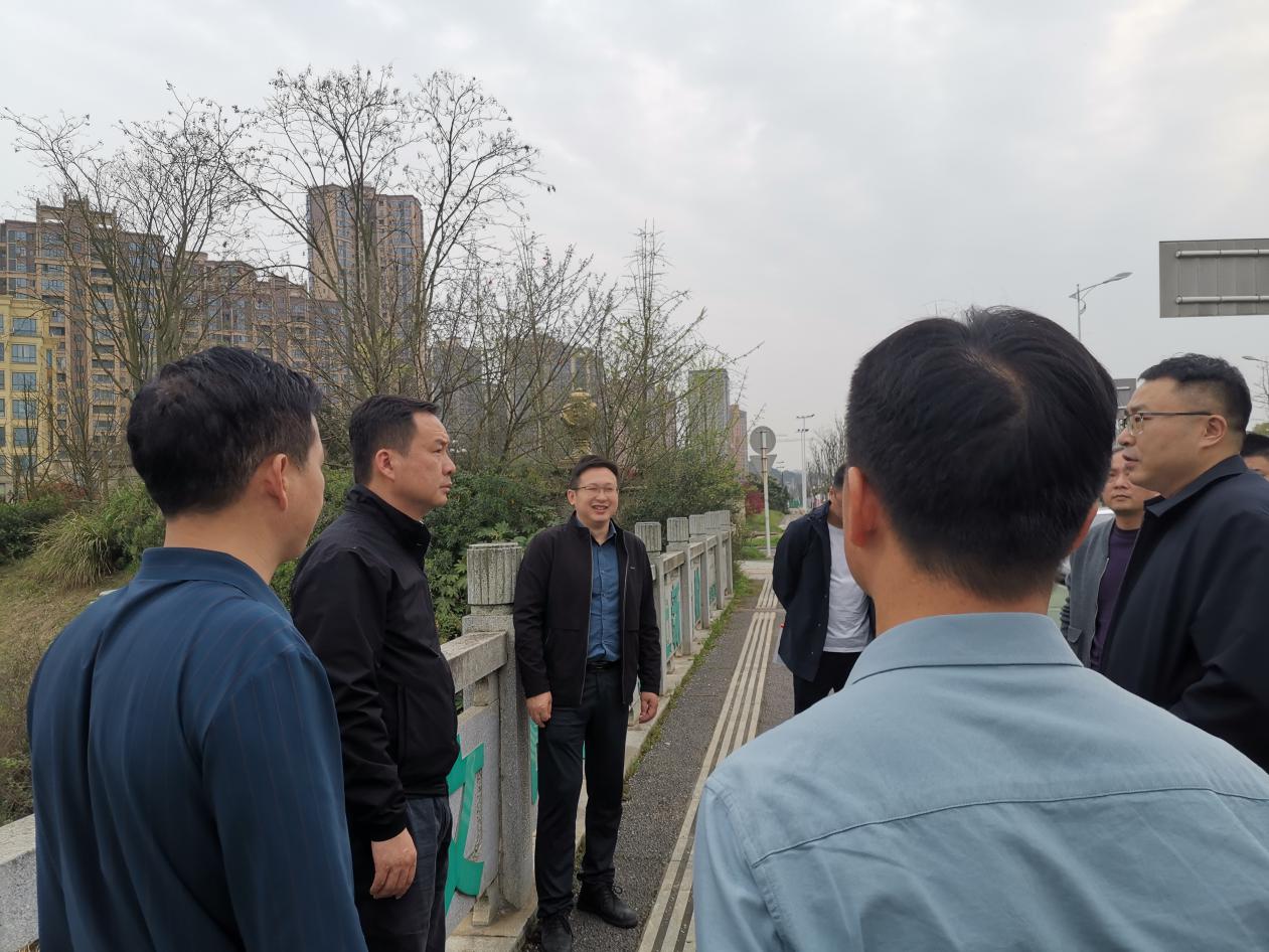 荷塘区区委书记方靖对重点生态环境问题开展现场检查督导