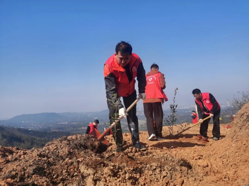 春风又度湘江畔，众植新绿美家园——市退役军人事务局开展义务植树志愿活动