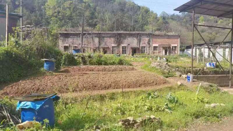 环保督察 | 芦淞区：追根溯源火速查处不知来源异味