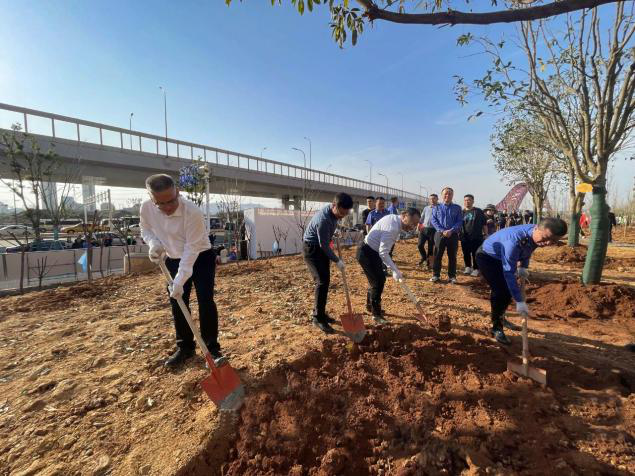 市林业局：为幸福株洲添绿 我市掀起全民义务植树活动热潮
