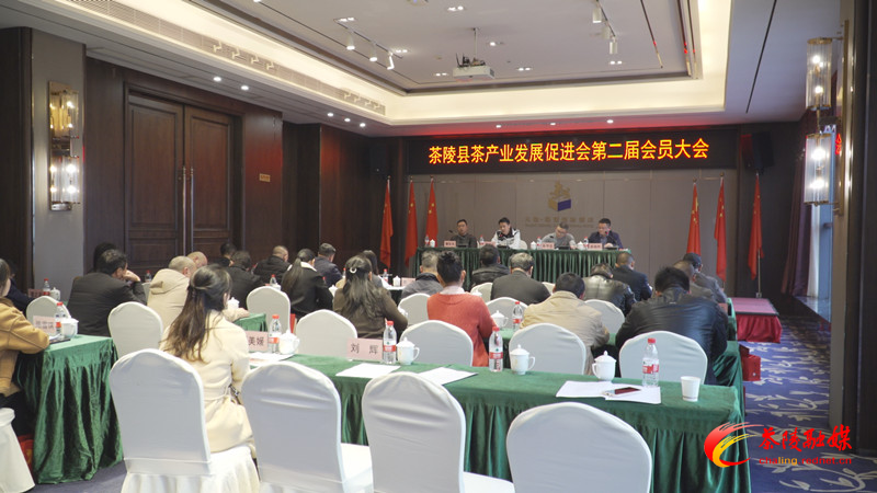 茶陵县茶产业发展促进会第二届会员大会召开