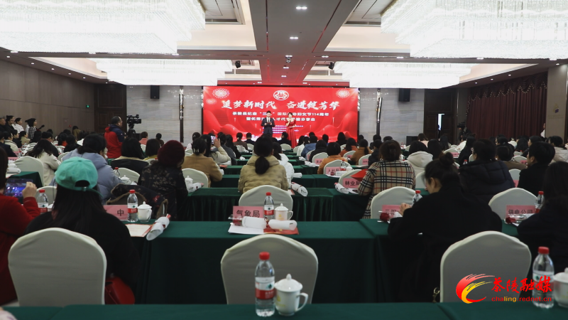 茶陵：追梦新时代 巾帼绽芳华