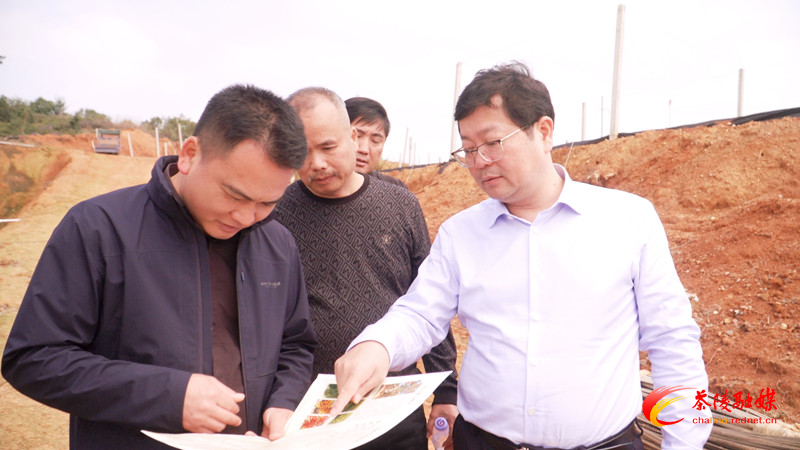 杨红兵深入虎踞镇、马江镇调研和督导工作