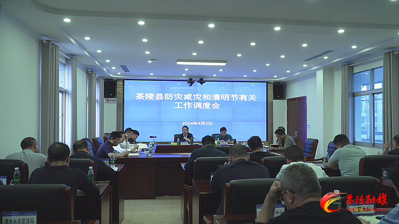 茶陵县防灾减灾和清明节有关工作调度会召开