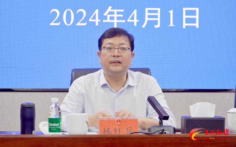 茶陵县2024年早稻生产工作调度会召开