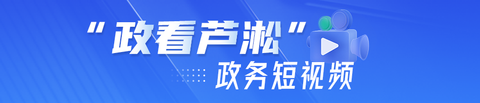 “政看芦淞”政务服务短视频让办事指南“活起来”