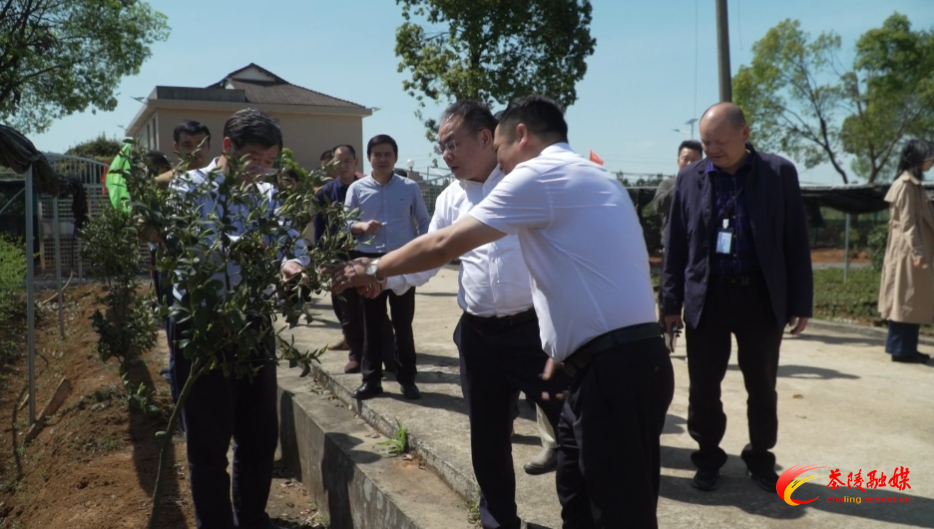 株洲市中央财政林草科技推广示范资金项目培训正式开班