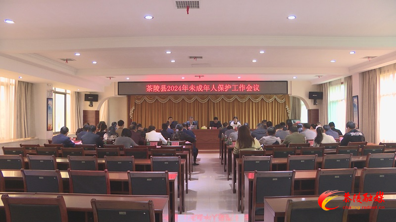 2024年茶陵县未成年人保护工作会议召开