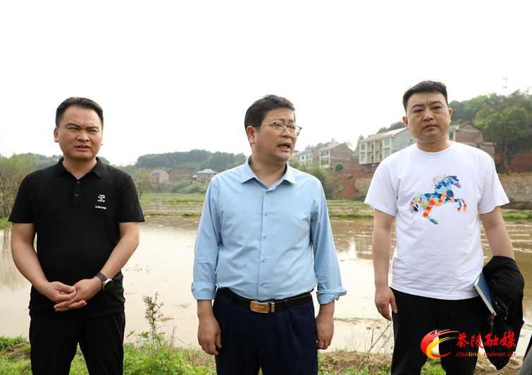杨红兵深入洣江街道调研督导工作