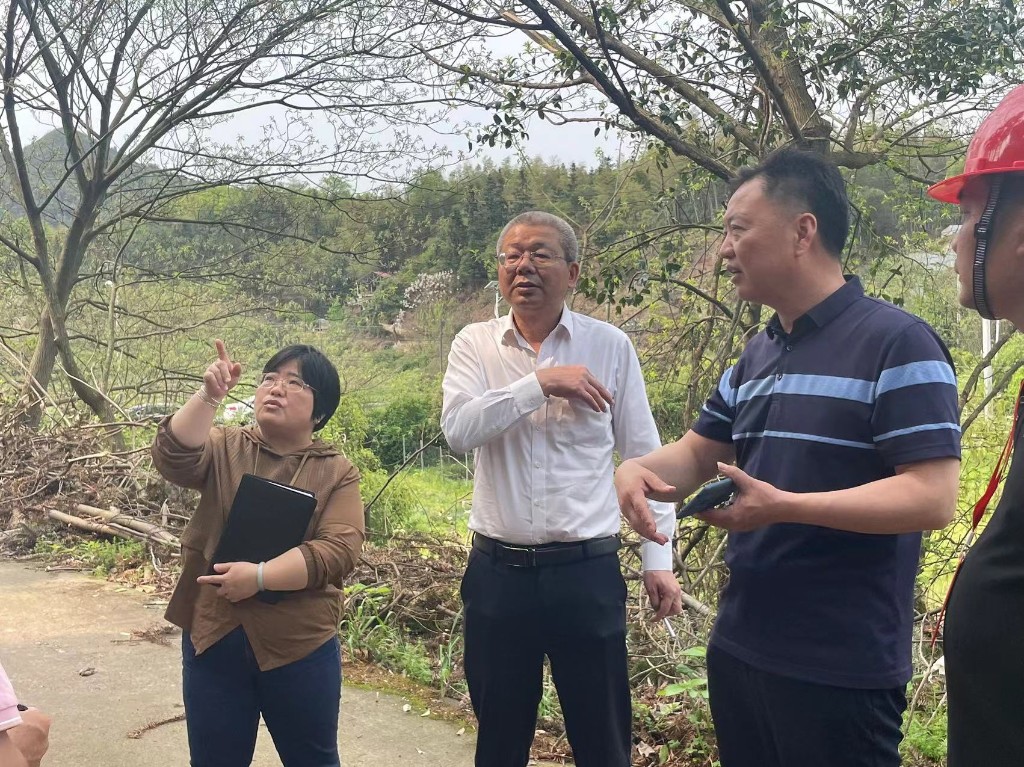 石峰区林业局联合区财政局、区审计局检查指导国土绿化试点示范项目