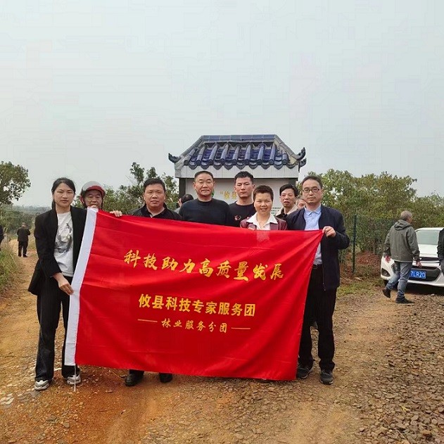 攸县创新提升行动:科技专家服务团开展油茶低产林改造技术培训
