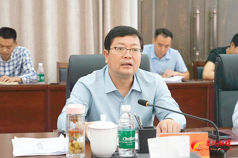 茶陵县经济运行监测分析暨五经普、“四上”企业、固定资产投资入库工作调度会议召开