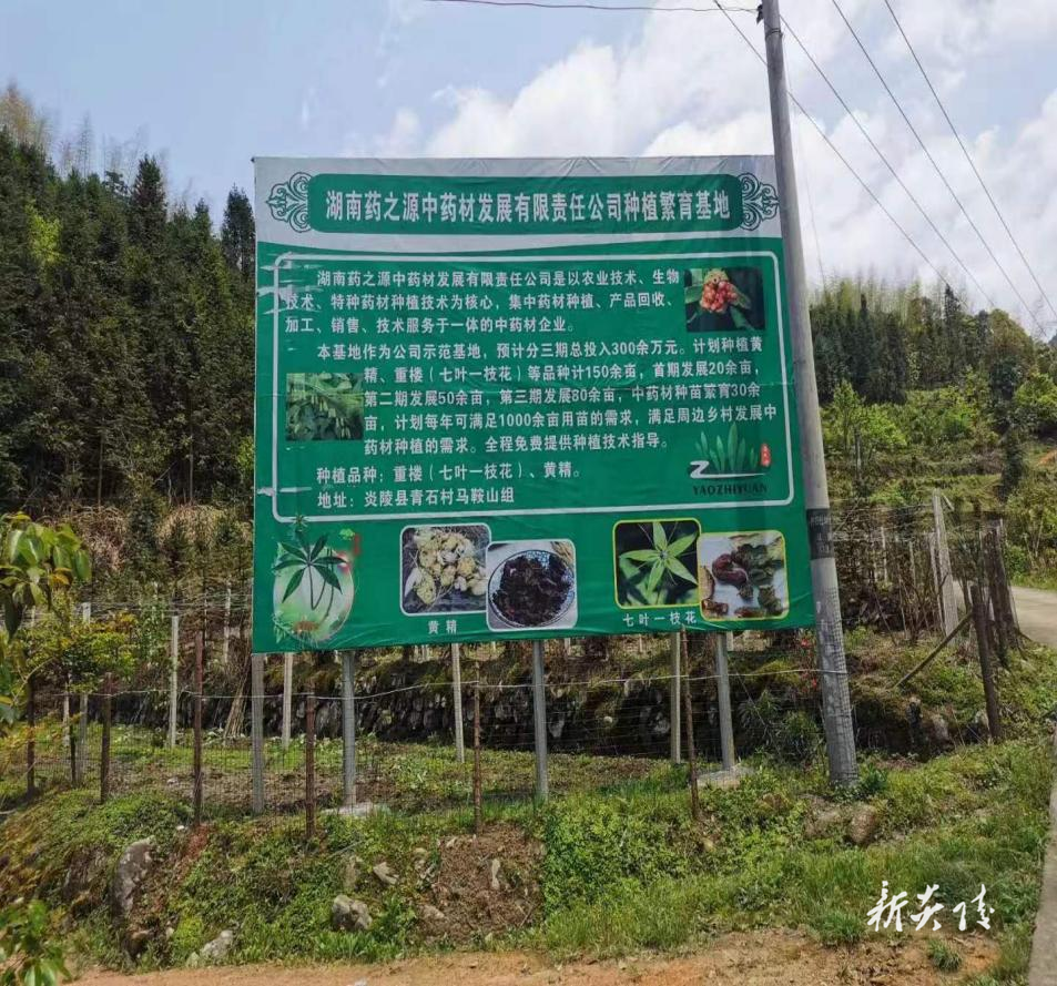 炎陵县：行业协会示范引领 促发展 强主体