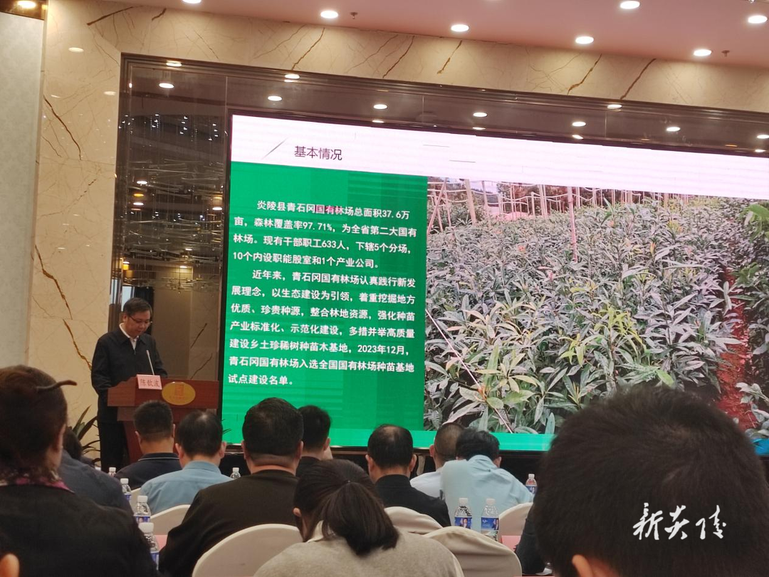 县青石冈国有林场参加全省林草种苗工作会议并做典型发言