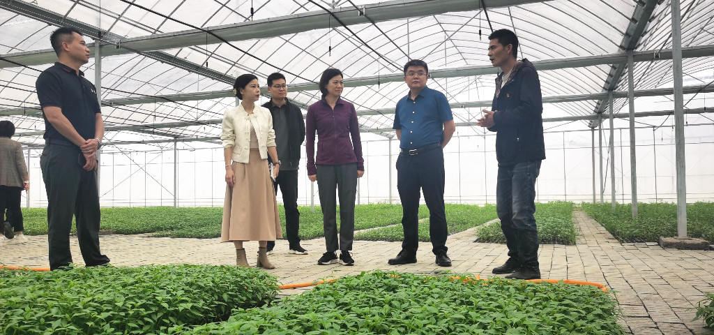 赖晓智到龙船镇调研粮食生产、防汛备汛等工作