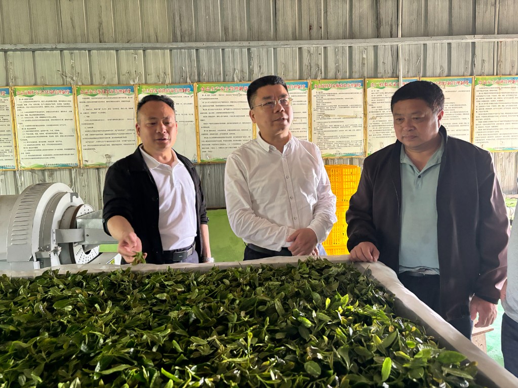 彭小中督导“三社合一”改革，多个乡镇积极参与建设