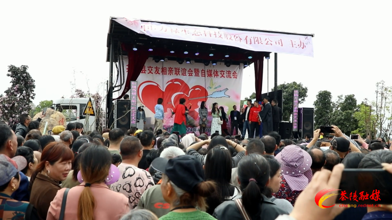 茶陵：杜鹃为媒 “王婆”相约