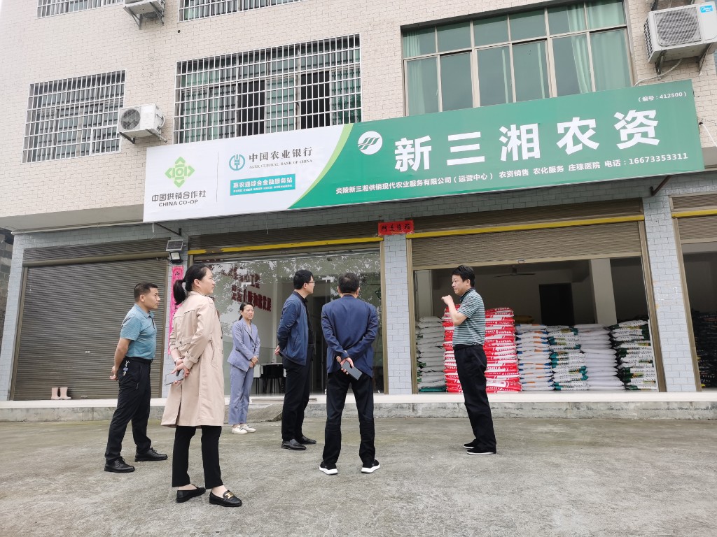 株洲市供销社到炎陵、茶陵开展落实农资供应“八个一”工作调研