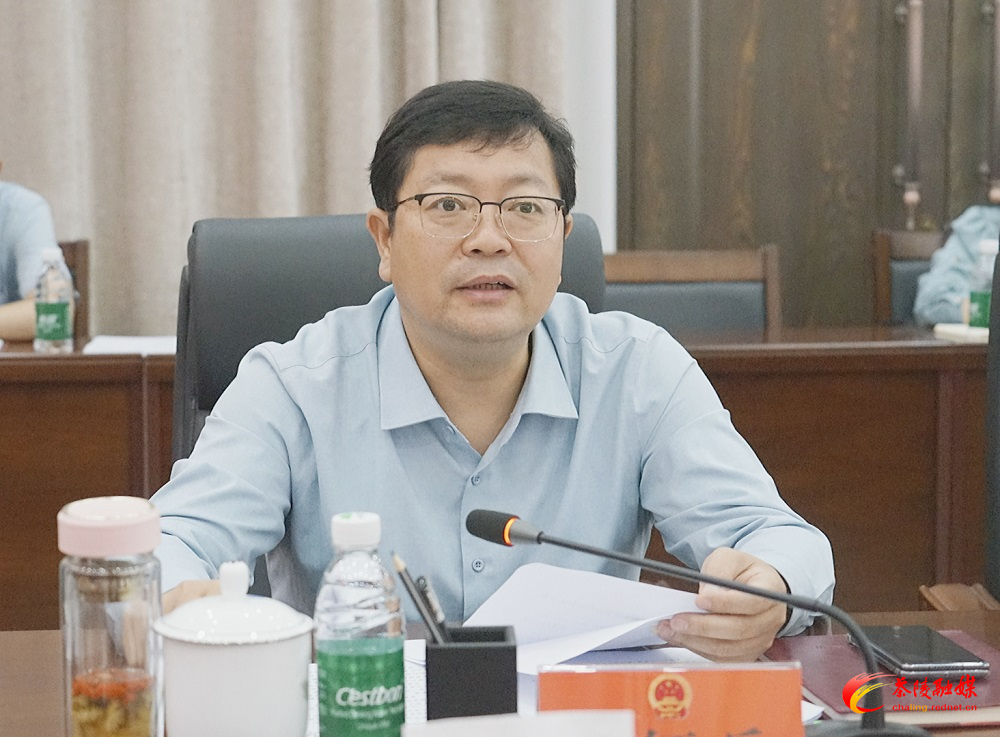 茶陵县2024年度审计整改推进会议召开