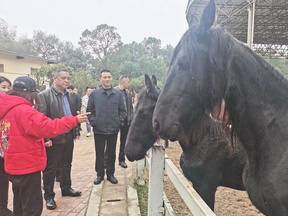 重磅！南洲镇成功签约3亿元项目！