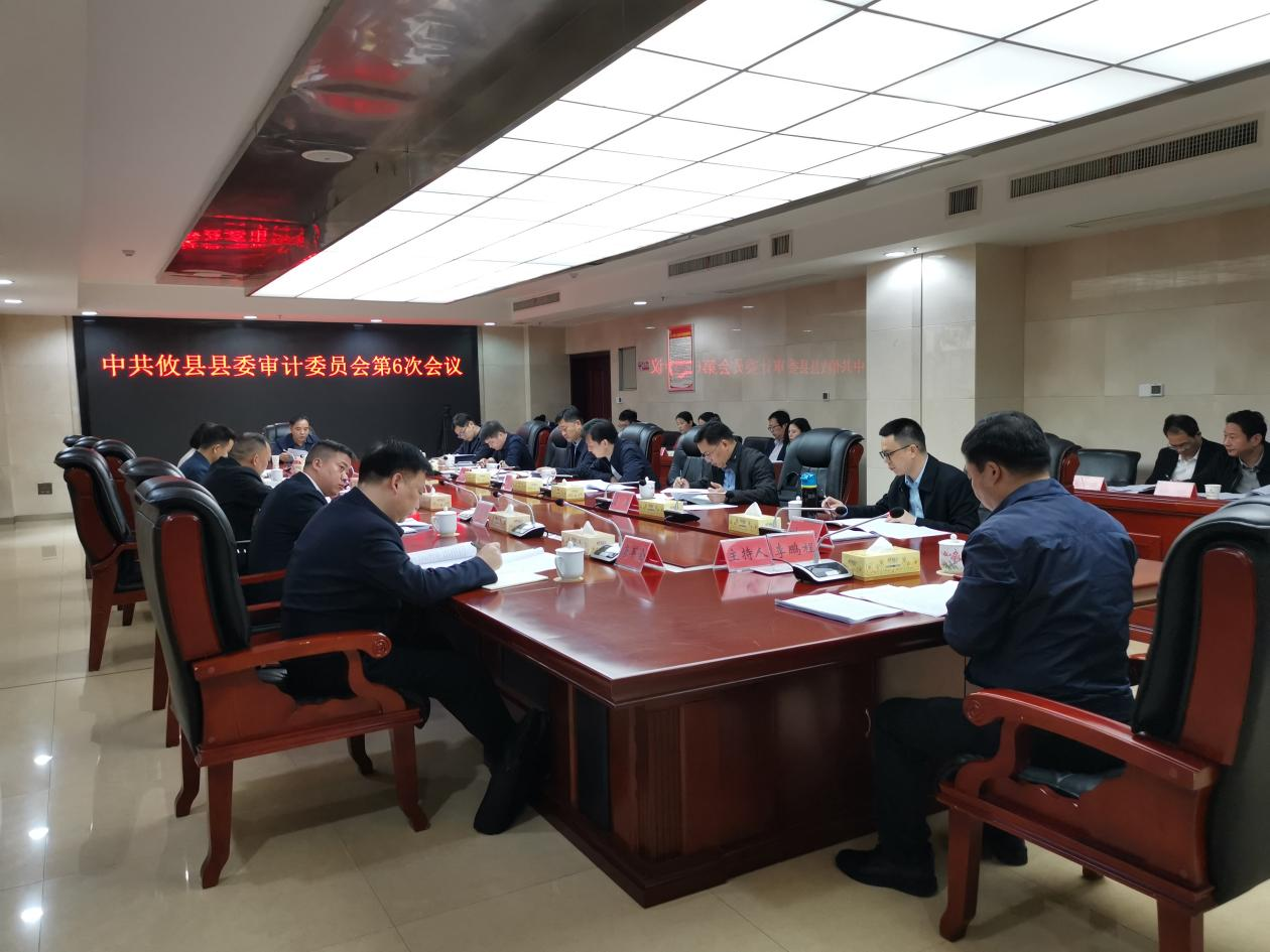 攸县县委审计委员会召开第6次会议