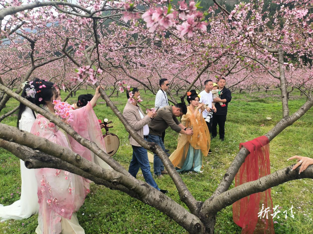 中村瑶族乡：周末赏花好去处