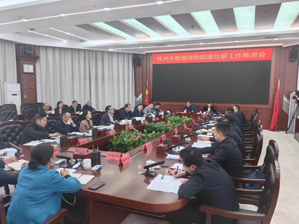 我市召开智慧绿色能源互联网工作推进会