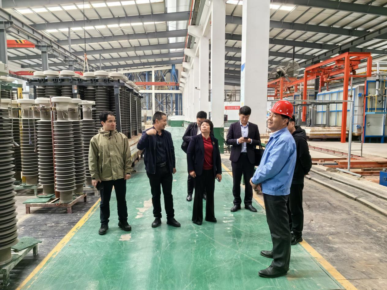 省委金融办、湖南证监局、证券交易所一行赴株调研重点拟上市企业