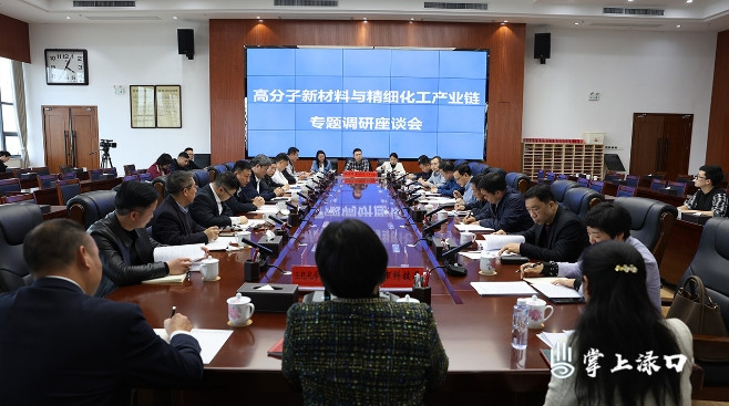 阳望平来渌口区调研高分子新材料与精细化工产业链发展情况