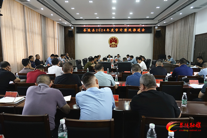 茶陵县2024年度审计整改推进会议召开